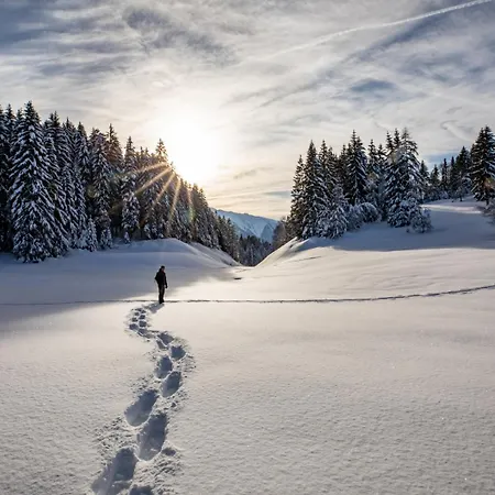 Heimat - Zillertal ゲルロス