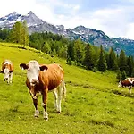 Heimat - Zillertal Apartamento